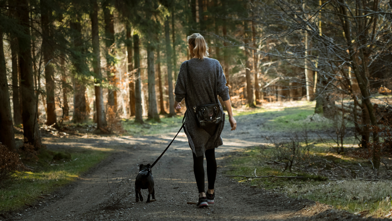 Self-managed super funds: A suitable path to retirement