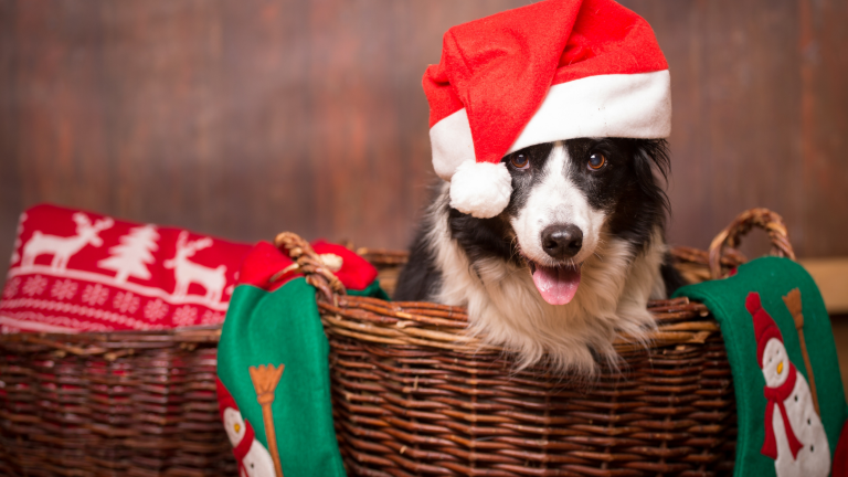 Thinking of a Christmas stay in your SMSF property